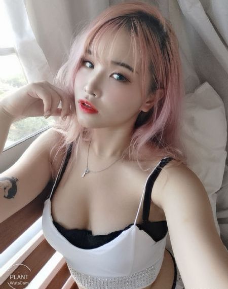 铁甲威虫之骑刃王第二季