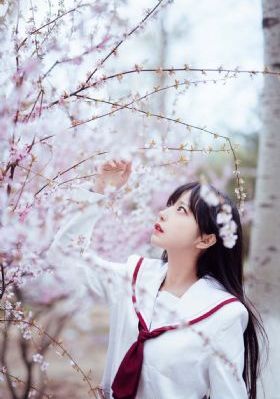 po动漫
